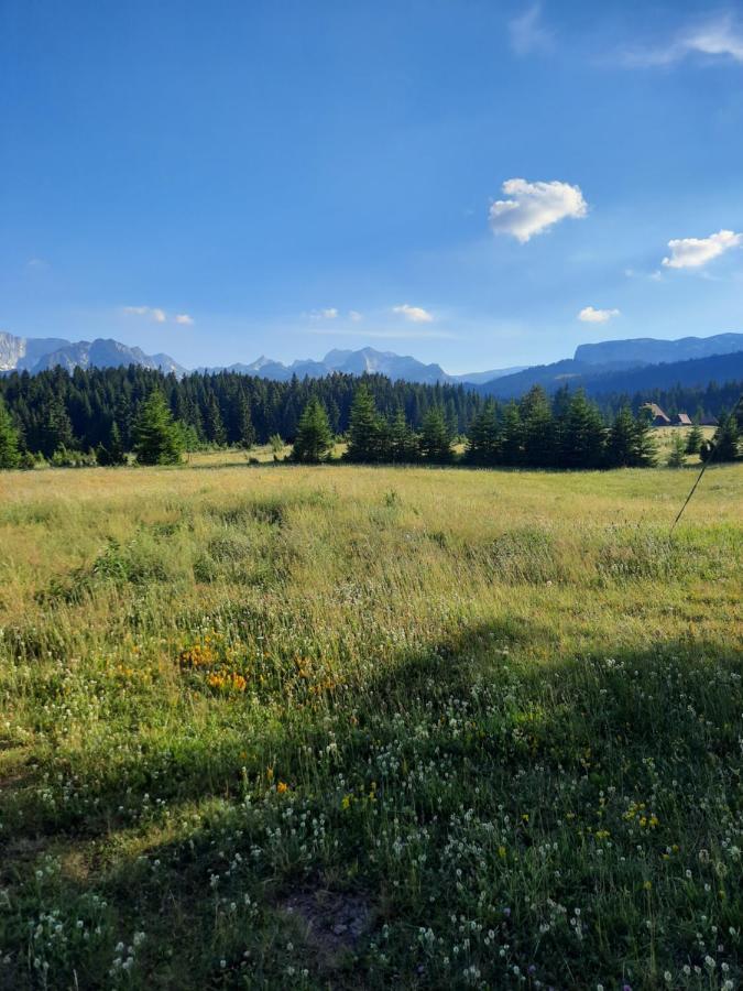 Etno House Momcilo Villa Žabljak Eksteriør bilde