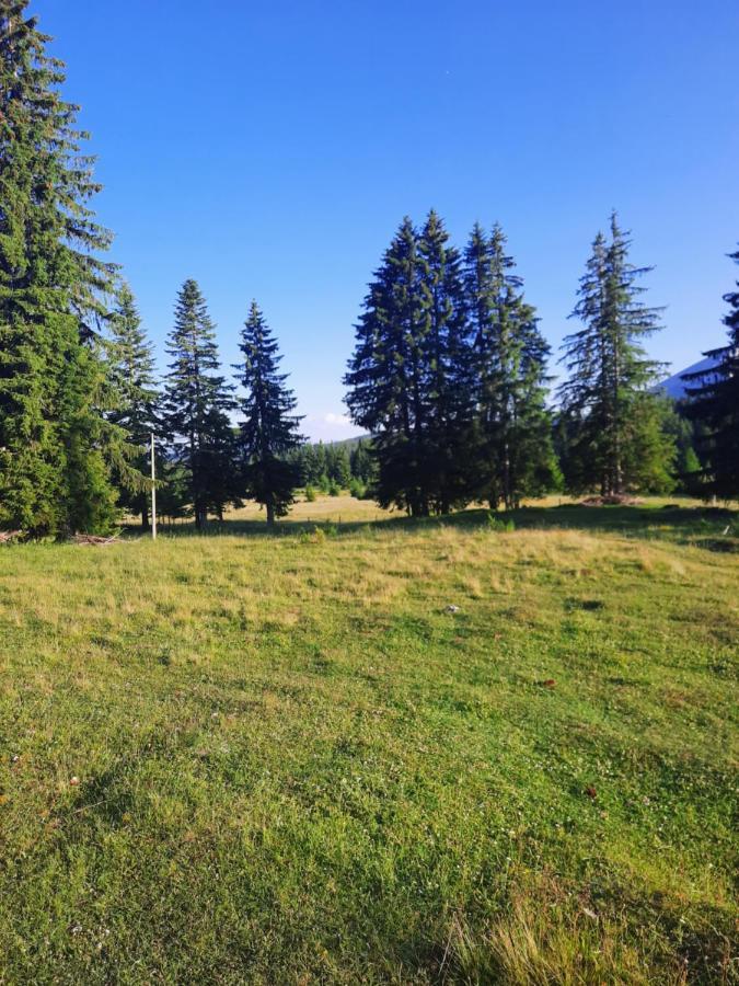 Etno House Momcilo Villa Žabljak Eksteriør bilde
