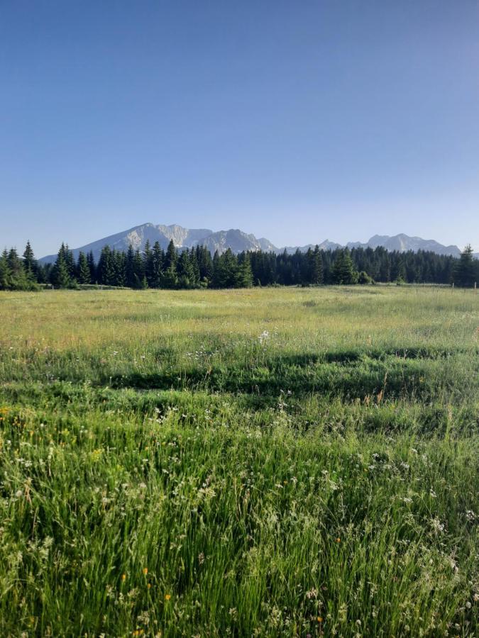 Etno House Momcilo Villa Žabljak Eksteriør bilde